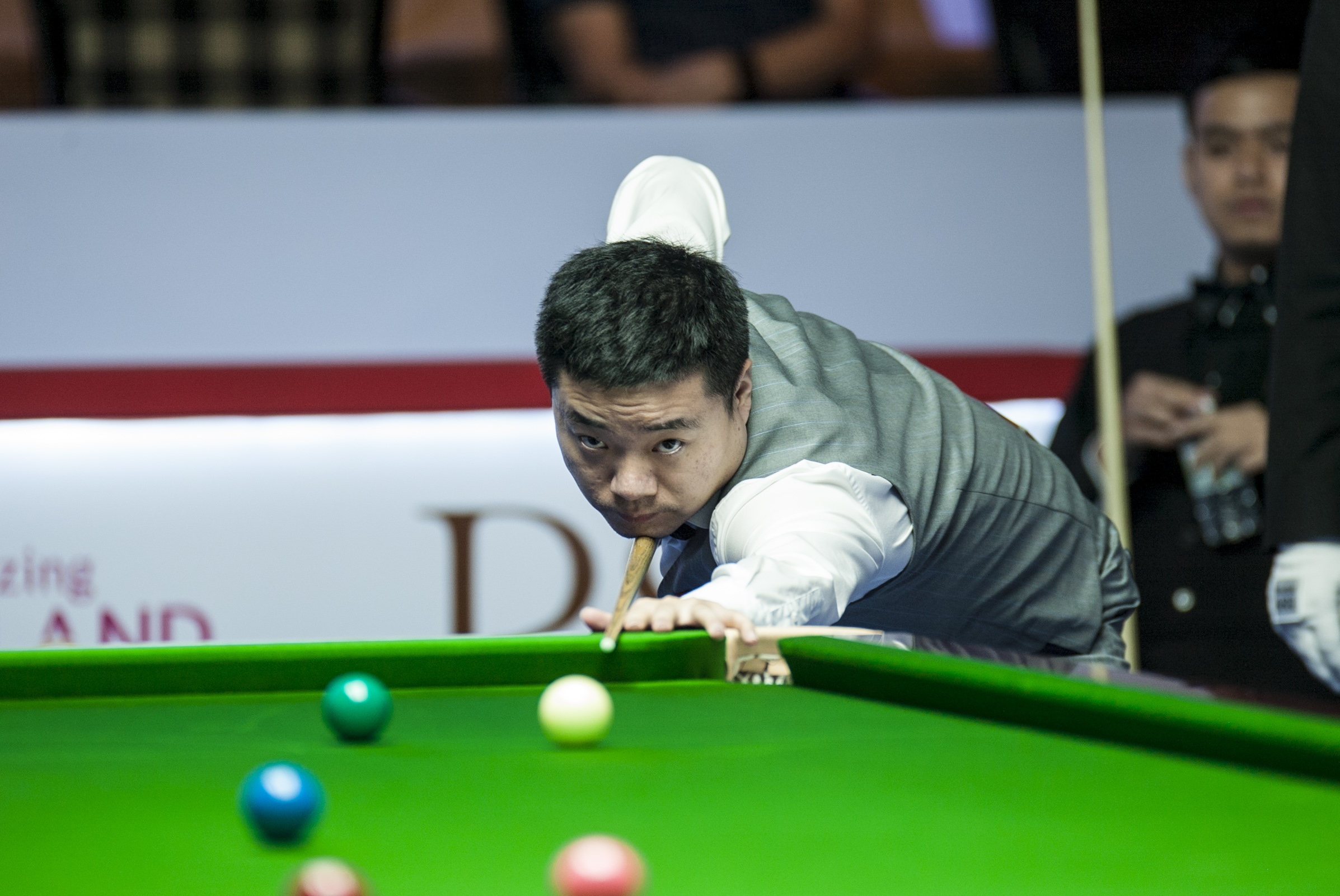 皮肤演示 皮肤演示